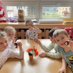 phoca_thumb_m_fze msce 7 Fotogalerie